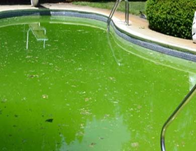Como eliminar algas de la piscina