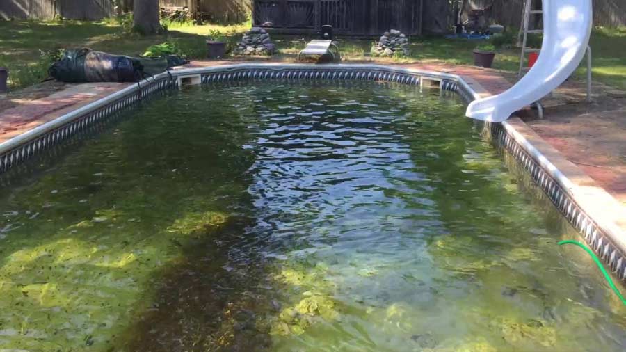 Tratamiento algas piscina